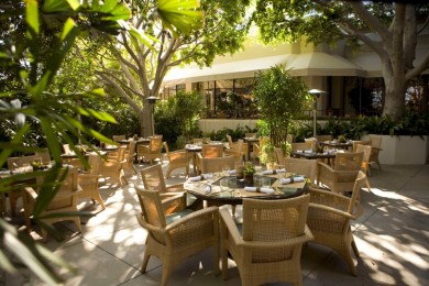 Island Hotel_Palm Terrace Patio Island Hotel