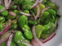 Fava Bean Salad