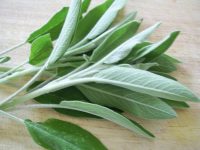 Fried Sage Leaves