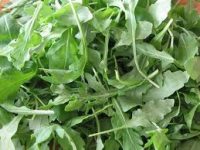 Antioxidant Rich Arugula