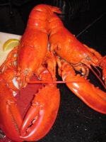 L'Ermitage, Get Maine Lobster, Weekly Fitness Challenge