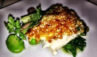 ARARE CRUSTED HALIBUT