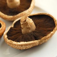 Fiber-rich Portobello Mushroom