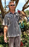 Terranea Resort Falconry Program