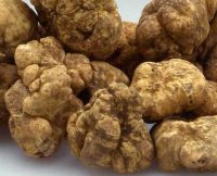 White Truffles