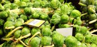 Brussels Sprouts