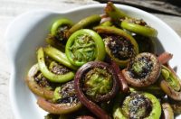 Fresh Fiddlehead Ferns