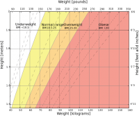 Body mass index chart