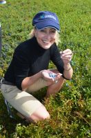 Eating wild blueberries directly from the field