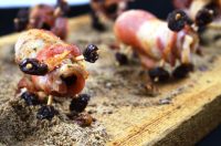 Creepy Crawly Bacon Critters