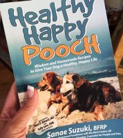 Healthy Happy Pooch, penne pasta recipe