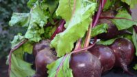 Beets for the Bikini Beet Smoothie