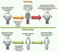 inflammation and cleansing nutrition