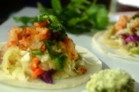 Tri Spice Jicama Shrimp Tacos