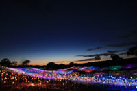 Bruce Munro Field of Light at Sensorio