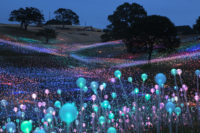 Bruce Munro Sensorio_landscape