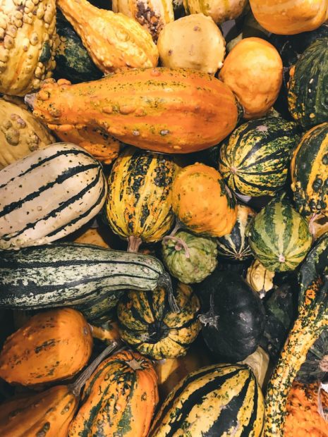 Assorted Winter Squash