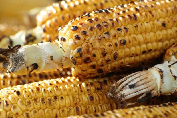 Creamy Corn Chowder