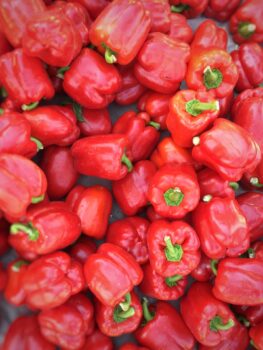 Roasted pepper spread