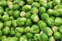 Fresh Brussels sprouts