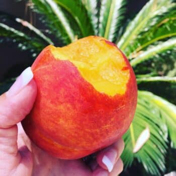 Peach for tart