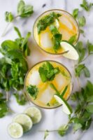 Mango Mojito top view